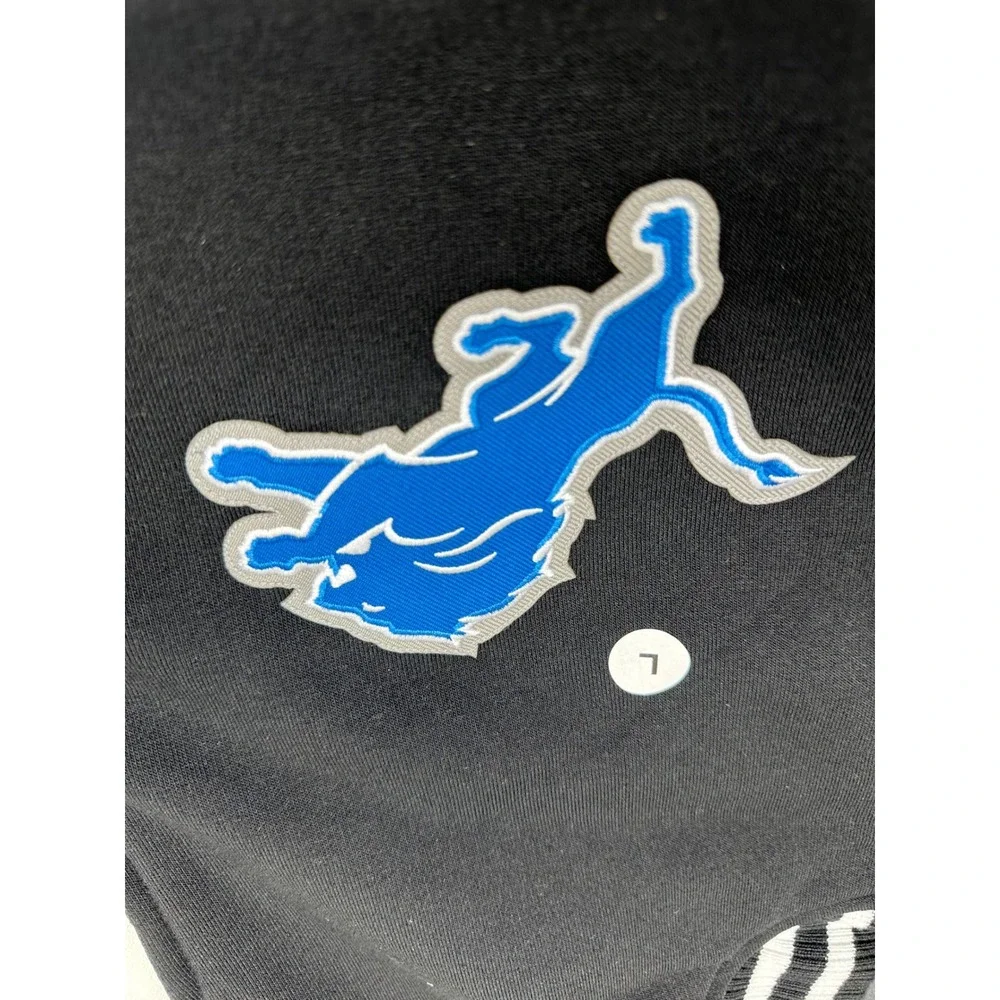 NFL detroit lions